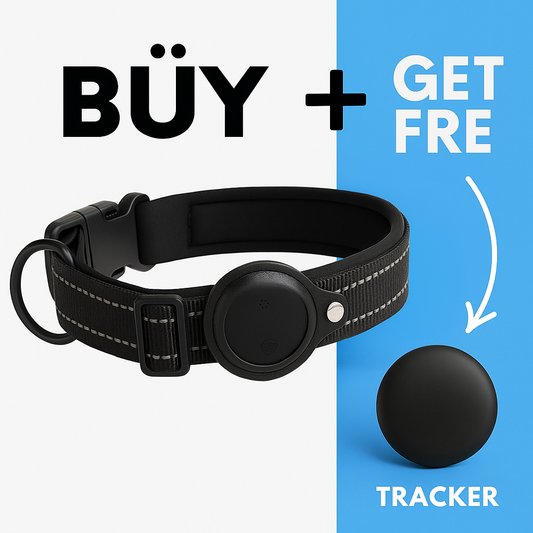 TrackGo Dog Collar